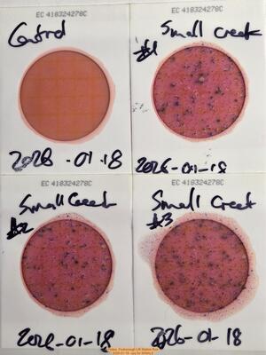 [Plates, Foxborough Lift Station Run, 2026-01-18 --jsq for WWALS]