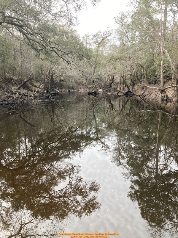 Downstream, Staten Road, Withlacoochee River @ Staten Road 2026-01-22 --Cindy Vedas for WWALS