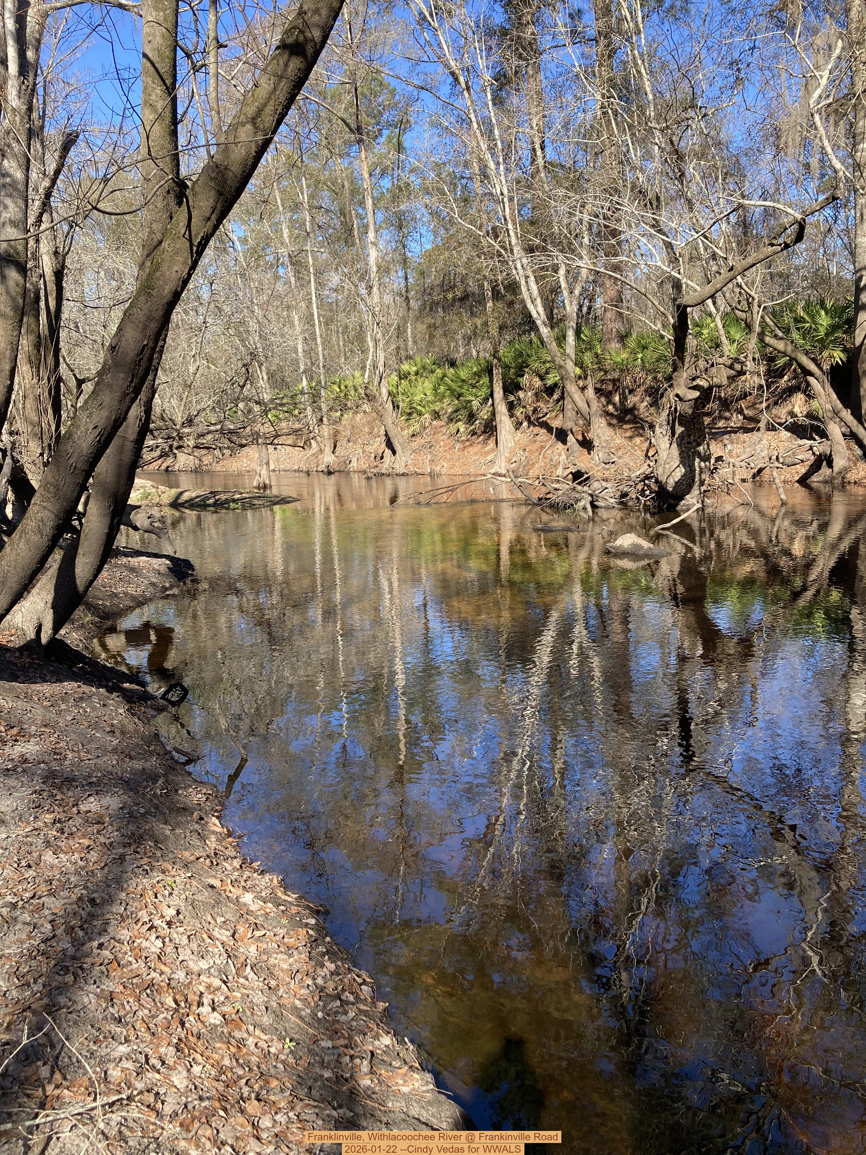 Franklinville, Withlacoochee River @ Frankinville Road 2026-01-22 --Cindy Vedas for WWALS