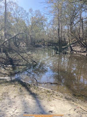 [Downstream, Langdale Park Boat Ramp, Withlacoochee River @ North Valdosta Road 2026-01-22 --Cindy Vedas for WWALS]