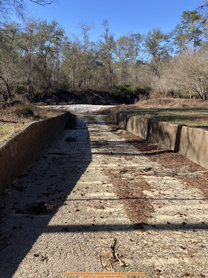 [Langdale Park Boat Ramp, Withlacoochee River @ North Valdosta Road 2026-01-22 --Cindy Vedas for WWALS]