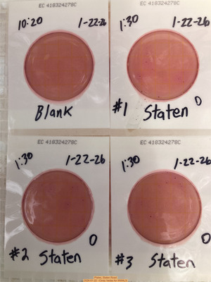 [Plates, Staten Road 2026-01-22 --Cindy Vedas for WWALS]