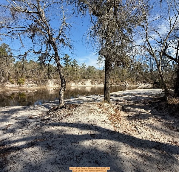 [Naylor Park Beach, Alapaha River @ US 84 2026-01-28 --Kim Tanner for WWALS]