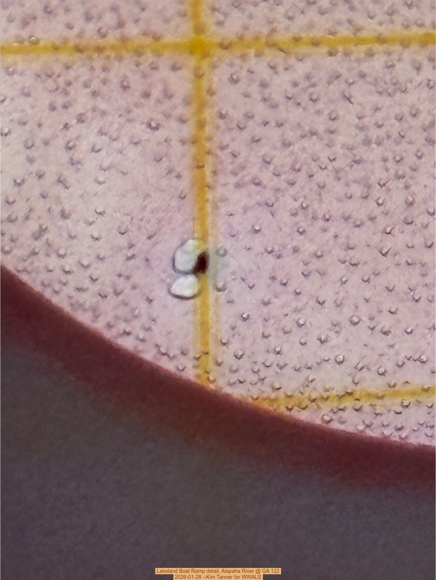 Lakeland Boat Ramp detail, Alapaha River @ GA 122 2026-01-28 --Kim Tanner for WWALS