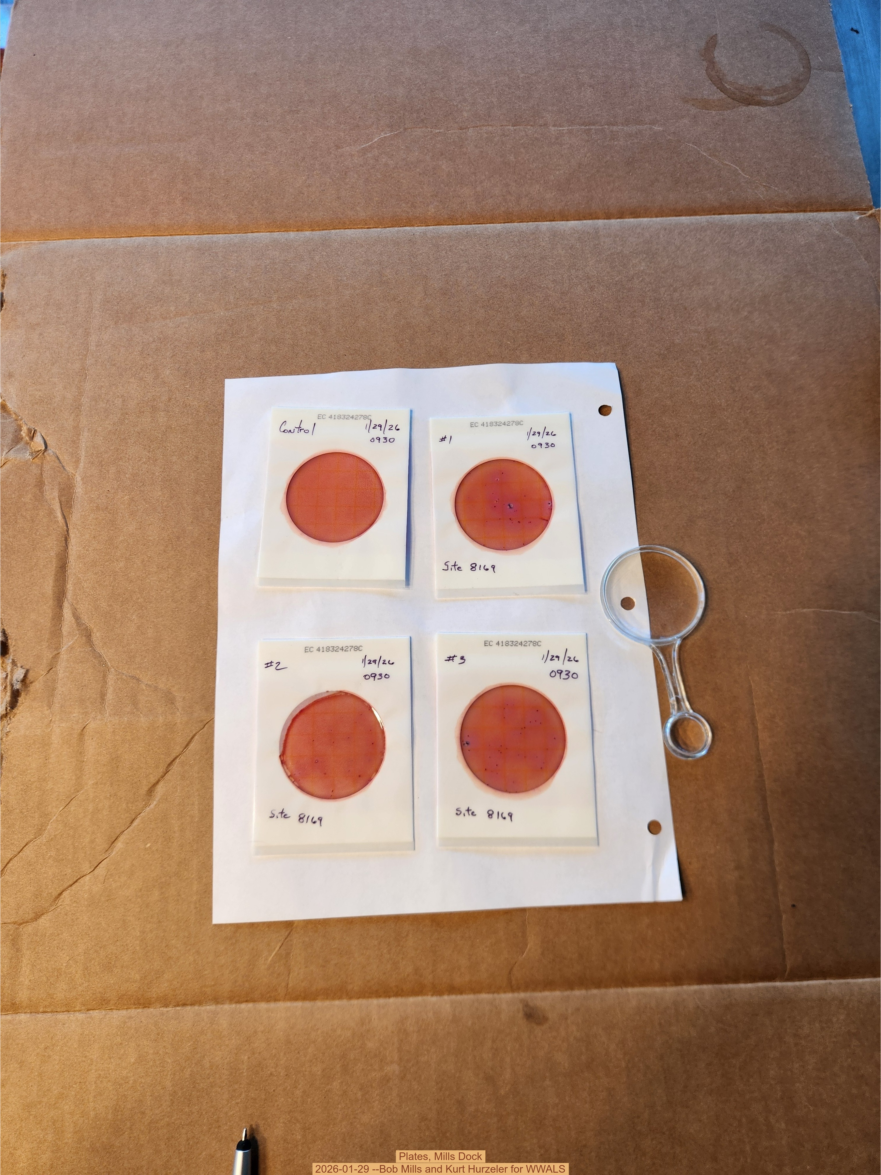 Plates, Mills Dock 2026-01-29 --Bob Mills and Kurt Hurzeler for WWALS