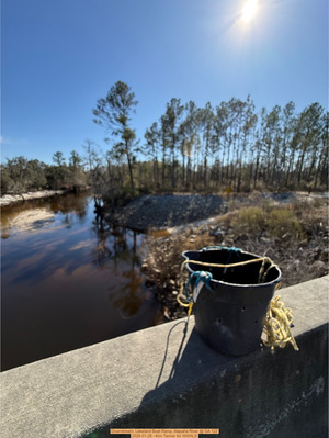 [Downstream, Lakeland Boat Ramp, Alapaha River @ GA 122 2026-01-28 --Kim Tanner for WWALS]