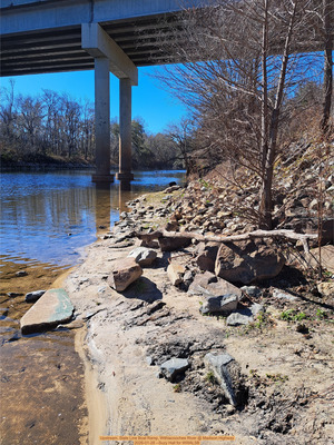 [Upstream, State Line Boat Ramp, Withlacoochee River @ Madison Highway 2026-01-28 --Suzy Hall for WWALSB]