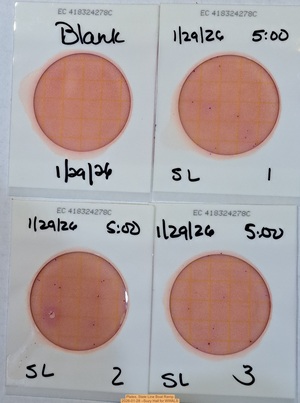 [Plates, State Line Boat Ramp 2026-01-28 --Suzy Hall for WWALS]