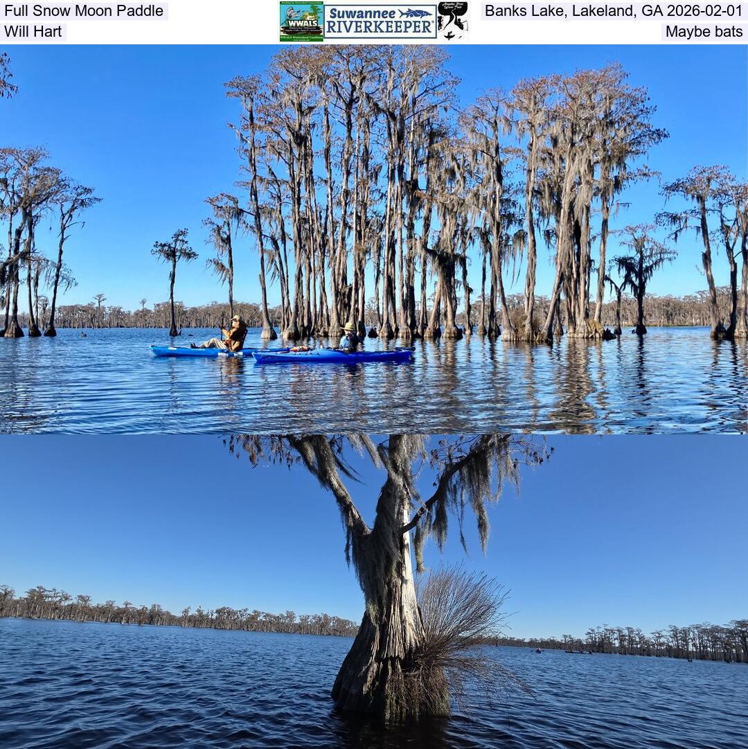 Full Snow Moon Paddle, Banks Lake, Lakeland, GA 2026-02-01, Will Hart, Maybe bats