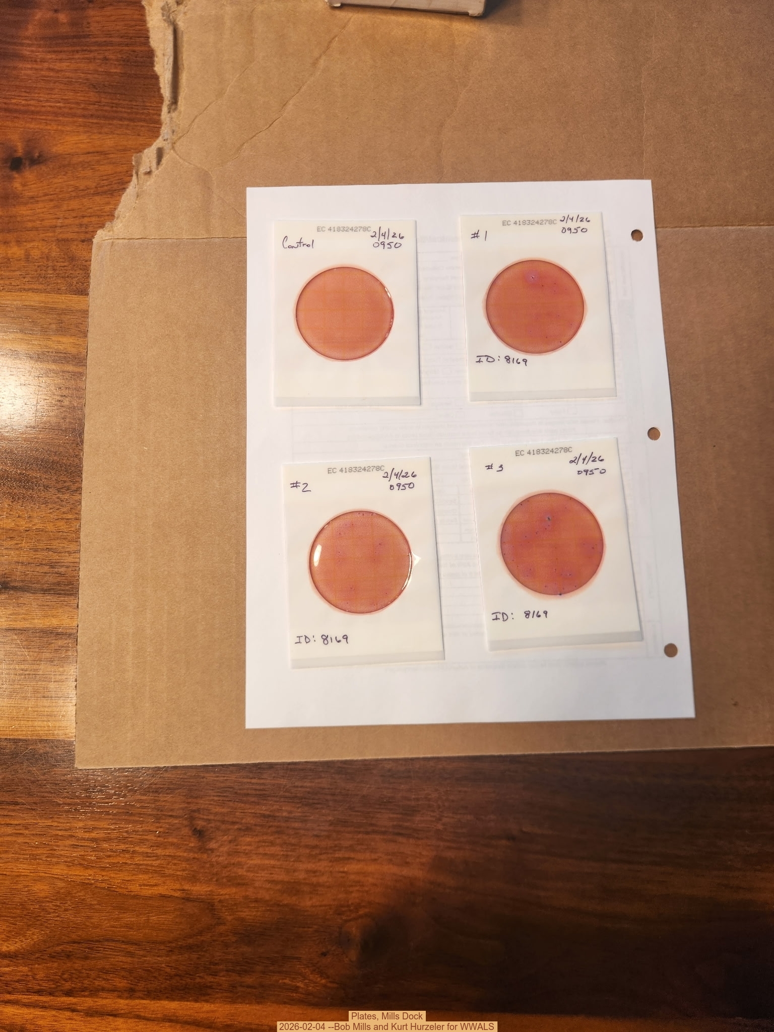 Plates, Mills Dock 2026-02-04 --Bob Mills and Kurt Hurzeler for WWALS