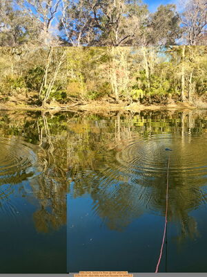 [Mills Dock, Santa Fe River @ NW 282nd Dr 2026-02-04 --Bob Mills and Kurt Hurzeler for WWALS]