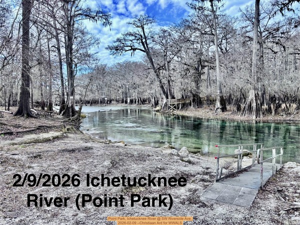 [Point Park, Ichetucknee River @ SW Riverside Ave. 2026-02-09 --Christiaan Ard for WWALS]