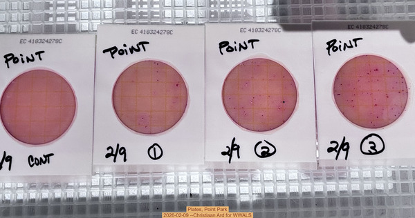 Plates, Point Park 2026-02-09 --Christiaan Ard for WWALS