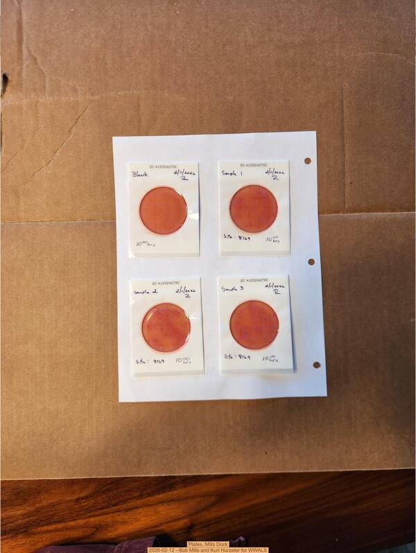 Plates, Mills Dock 2026-02-12 --Bob Mills and Kurt Hurzeler for WWALS