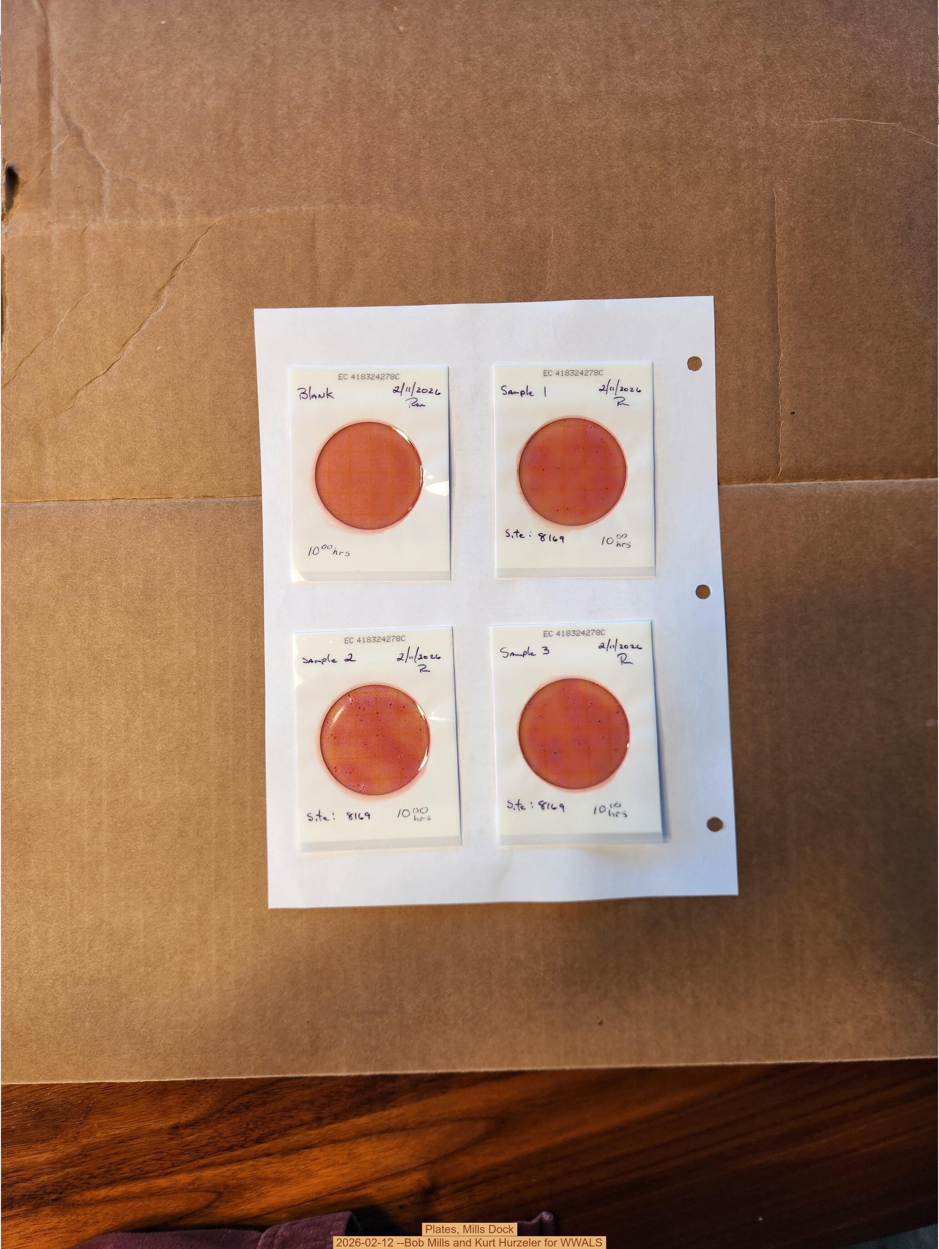 Plates, Mills Dock 2026-02-12 --Bob Mills and Kurt Hurzeler for WWALS