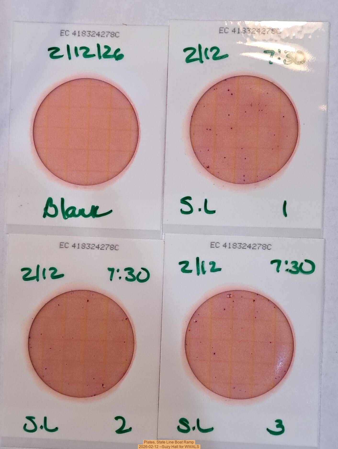 Plates, State Line Boat Ramp 2026-02-12 --Suzy Hall for WWALS