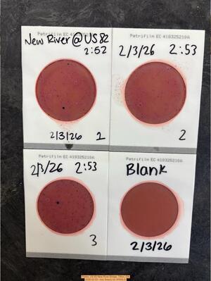 [Plates, US 82 New River Bridge, Tifton, GA 2026-02-03 --Isis Swartz for WWALS]