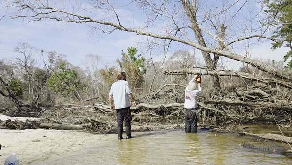 Movie: Phil Hubbard sawing up, 2026:02:14 12:56:14, 30.8633830, -83.3189377 (13M)