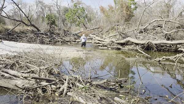 [Movie: Phil Hubbard sawing down, 2026:02:14 13:02:11, 30.8633830, -83.3189377 (20M)]