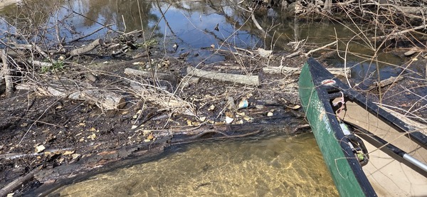 [Trash where Phil sawed a deadfall, 2026:02:14 13:02:29, 30.8633652, -83.3188649]