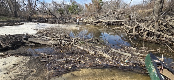 From one deadfall to another, 2026:02:14 13:02:33, 30.8633652, -83.3188649