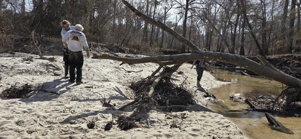 [David Savage starting the Husqvarna chainsaw, 2026:02:14 14:20:51, 30.8642879, -83.3201194]