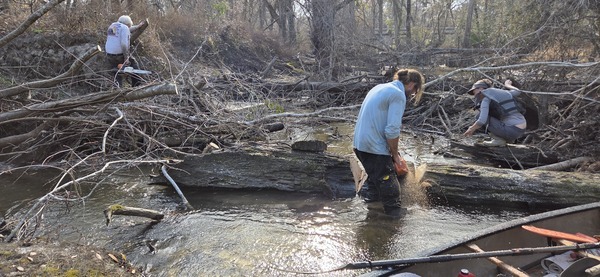 [Canoe showered by chainsaw, 2026:02:14 15:27:00, 30.8638848, -83.3209744]