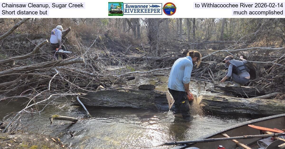 Chainsaw Cleanup, Sugar Creek to Withlacoochee River, Short distance but much accomplished