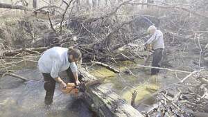 [Movie: Sawing near the bottom, 2026:02:14 15:14:19, 30.8638838, -83.3209138 (17M) #]