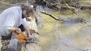 [Movie: Sawing straight down, 2026:02:14 15:20:45, 30.8638127, -83.3209709 (11M)]