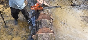 [Still not loose, 2026:02:14 15:36:00, 30.8638855, -83.3210195]