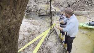 [Movie: Attach to an anchor tree, 2026:02:14 16:21:56, 30.8638955, -83.3209515 (54M)]