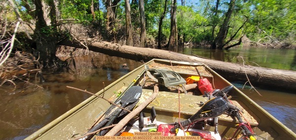 [Holland Deadfall, 2025-04-18, 14:25:42, 30.8602222, -83.3251806, jsq for WWALS]
