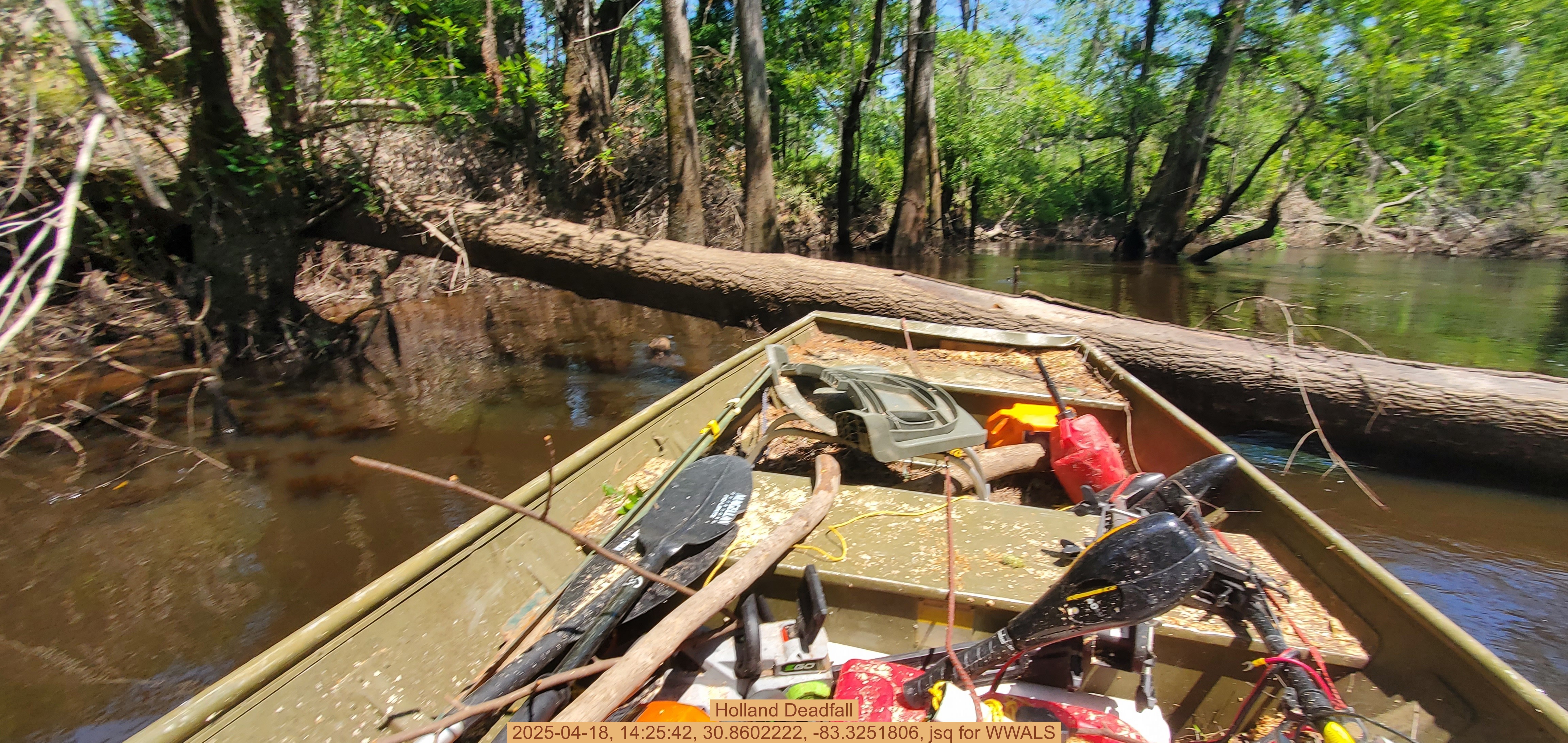 Holland Deadfall, 2025-04-18, 14:25:42, 30.8602222, -83.3251806, jsq for WWALS