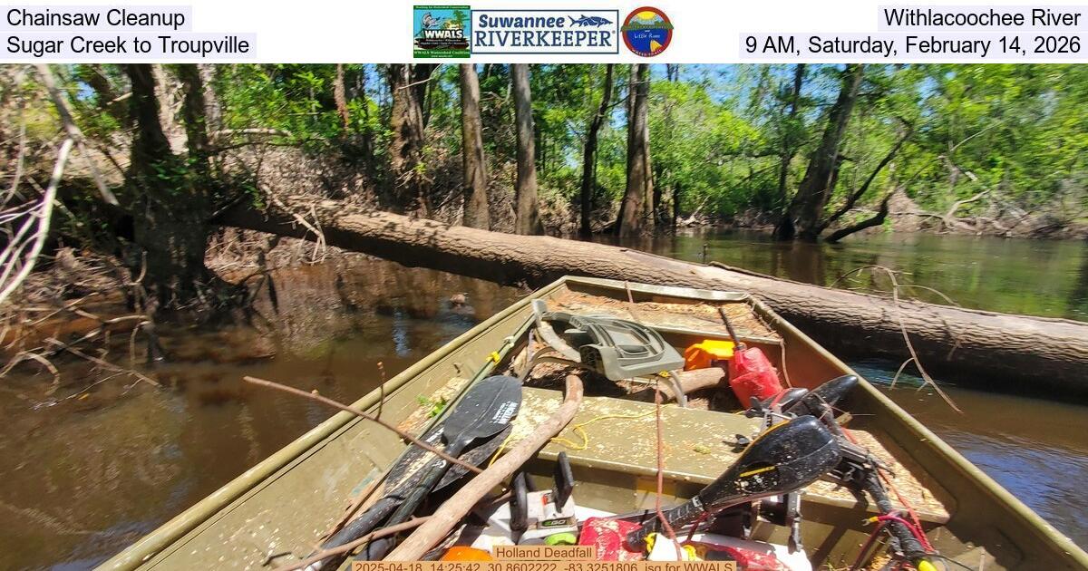 Chainsaw Cleanup, Withlacoochee River, Sugar Creek to Troupville, 9 AM, Saturday, February 14, 2026