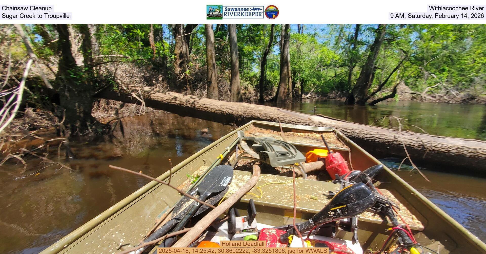 [Chainsaw Cleanup, Withlacoochee River, Sugar Creek to Troupville, 9 AM, Saturday, February 14, 2026]