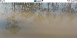 [Nasty water, Alapaha River @ GA 135, After big rain, Rose 1 foot in 3.5 hours]