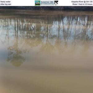 [Nasty water, Alapaha River @ GA 135, After big rain, Rose 1 foot in 3.5 hours]