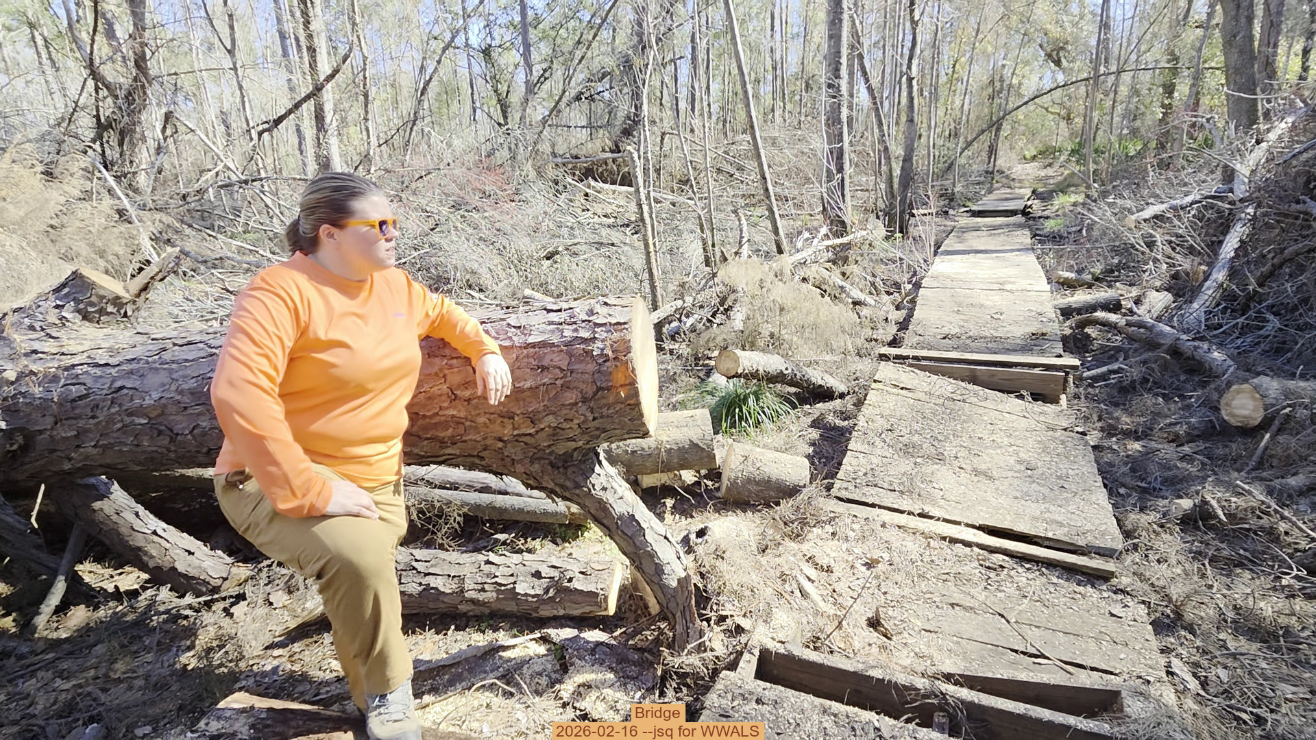 Bridge, 2026-02-16 --jsq for WWALS