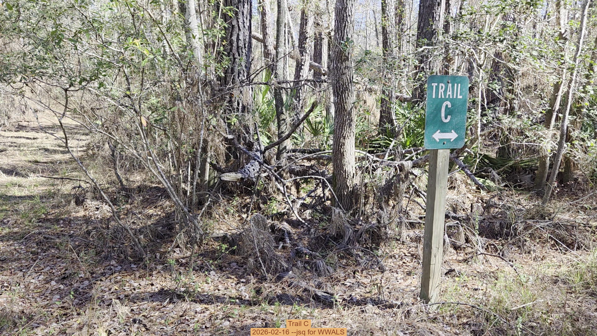 Trail C, 2026-02-16 --jsq for WWALS