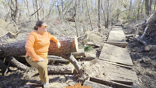 Bridge, 2026-02-16 --jsq for WWALS