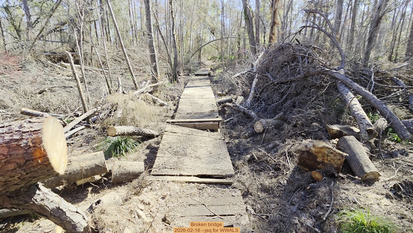 Broken bridge, 2026-02-16 --jsq for WWALS
