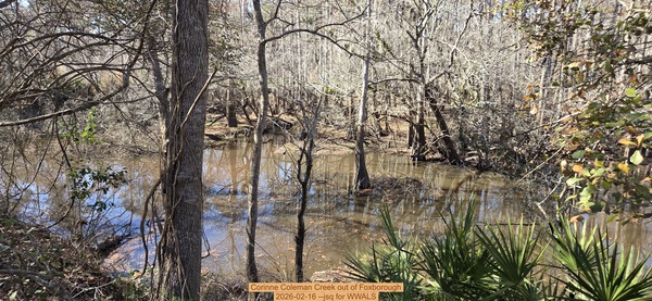 Corinne Coleman Creek out of Foxborough, 2026-02-16 --jsq for WWALS