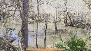 [Movie: The creek out of Foxborough that tested bad after a previous rain (11M), 2026-02-16 --jsq for WWALS]