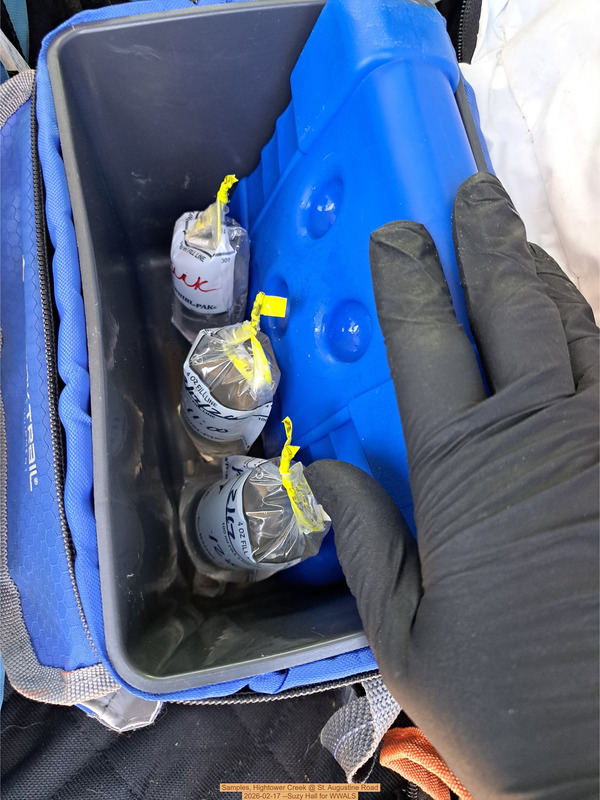 Samples, Hightower Creek @ St. Augustine Road 2026-02-17 --Suzy Hall for WWALS