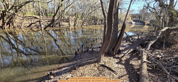 Looking downstream to the US 41 bridge, 2026:02:16 15:31:23, 30.8932756, -83.3184375 --jsq for WWALS