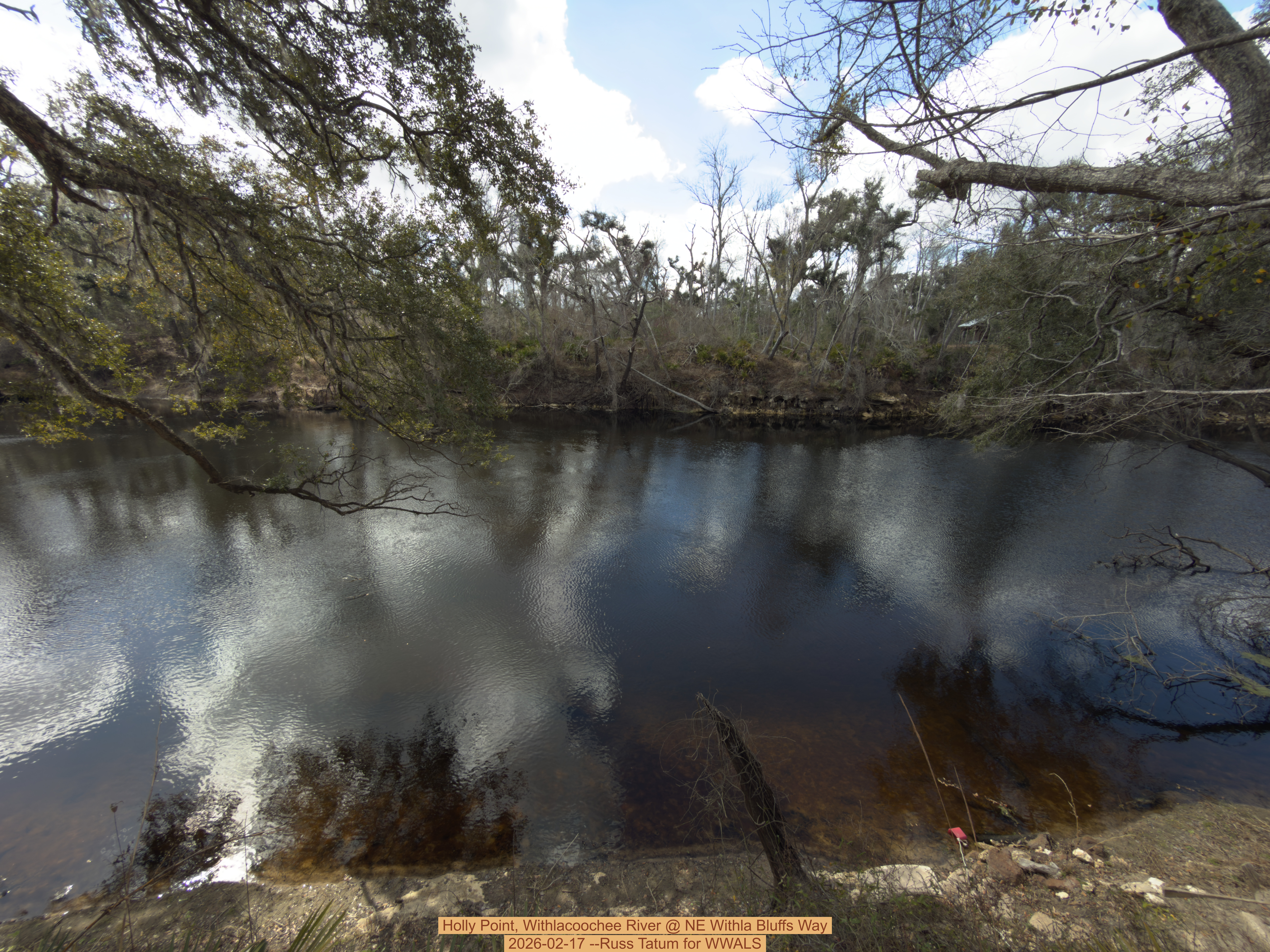 Holly Point, Withlacoochee River @ NE Withla Bluffs Way 2026-02-17 --Russ Tatum for WWALS