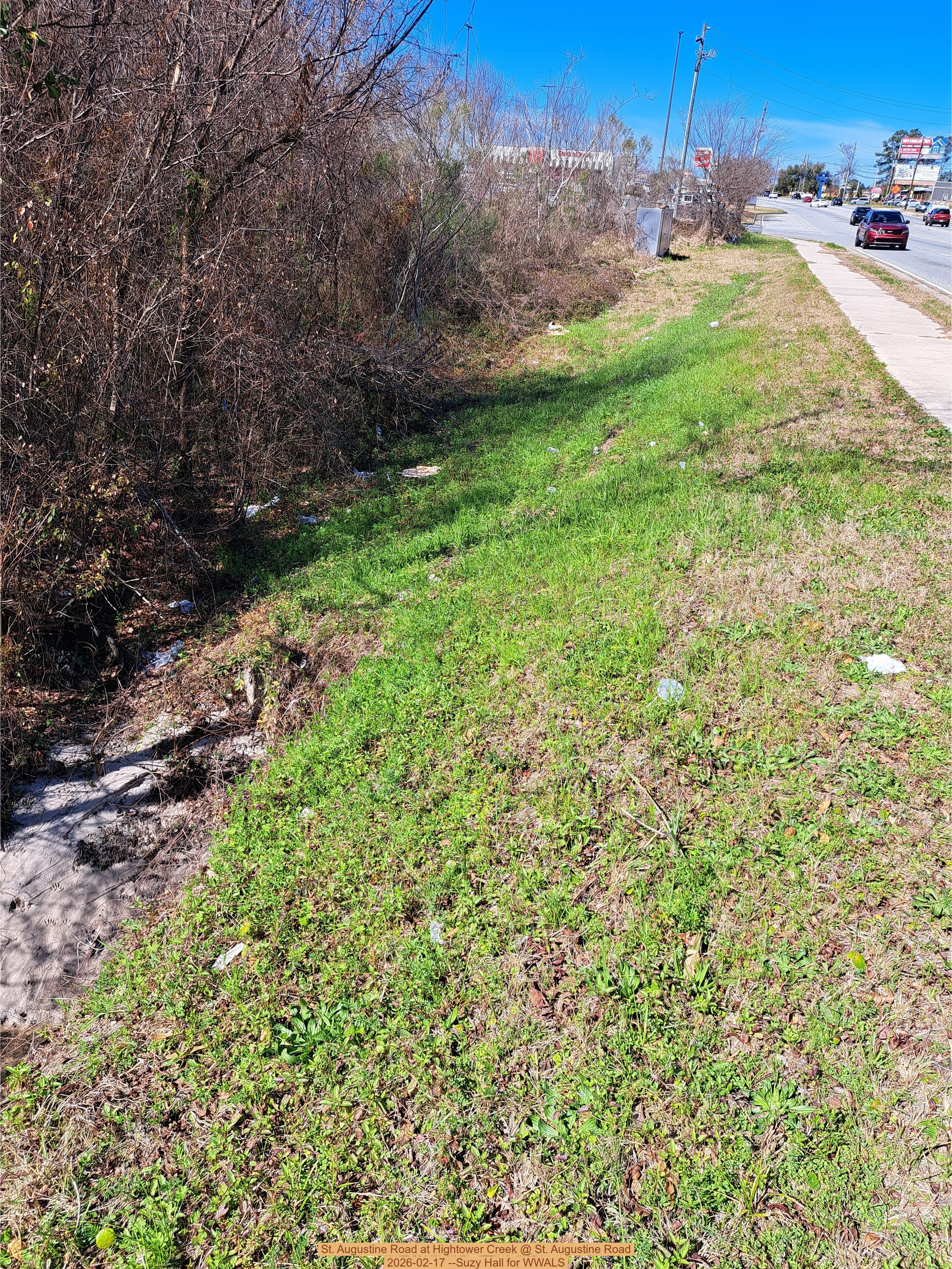 St. Augustine Road at Hightower Creek @ St. Augustine Road 2026-02-17 --Suzy Hall for WWALS