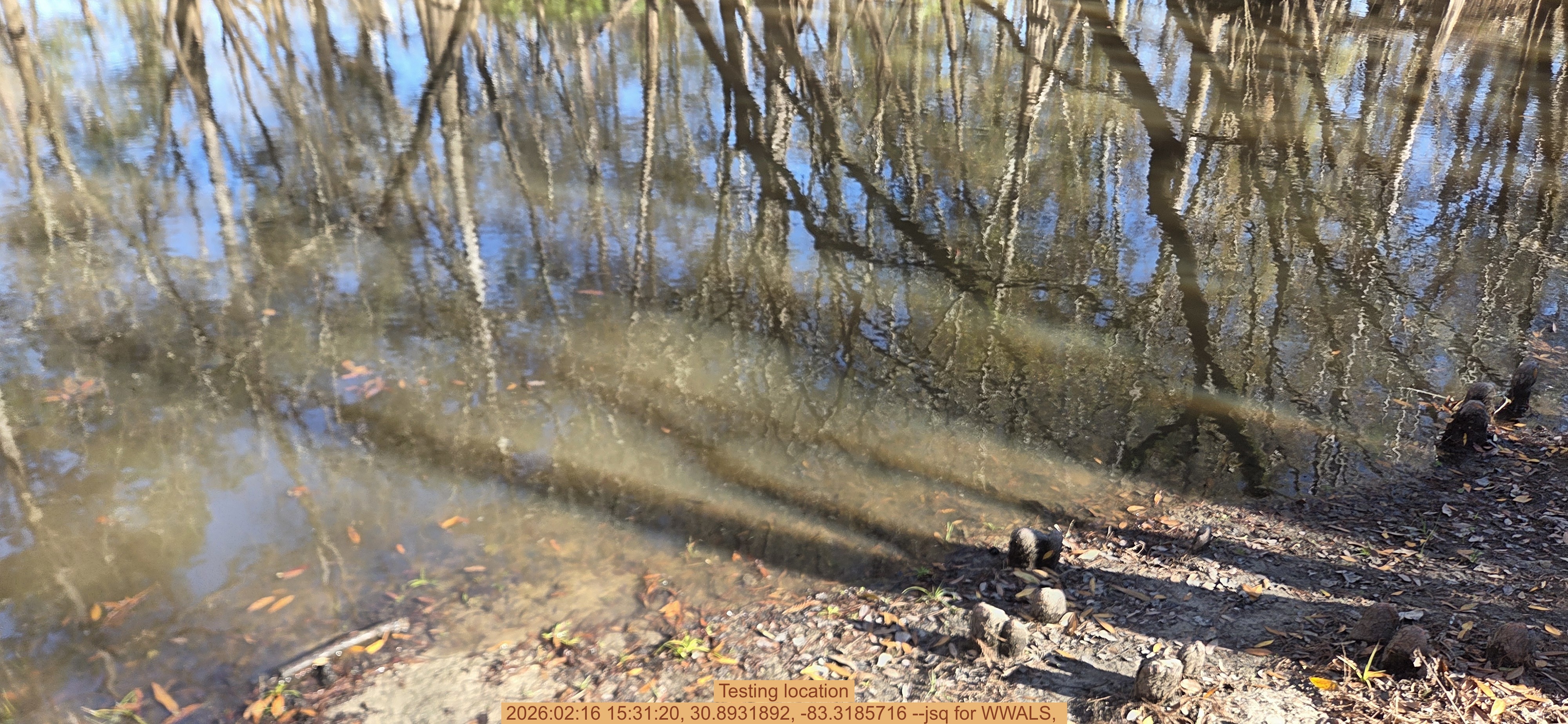 Testing location, 2026:02:16 15:31:20, 30.8931892, -83.3185716 --jsq for WWALS,