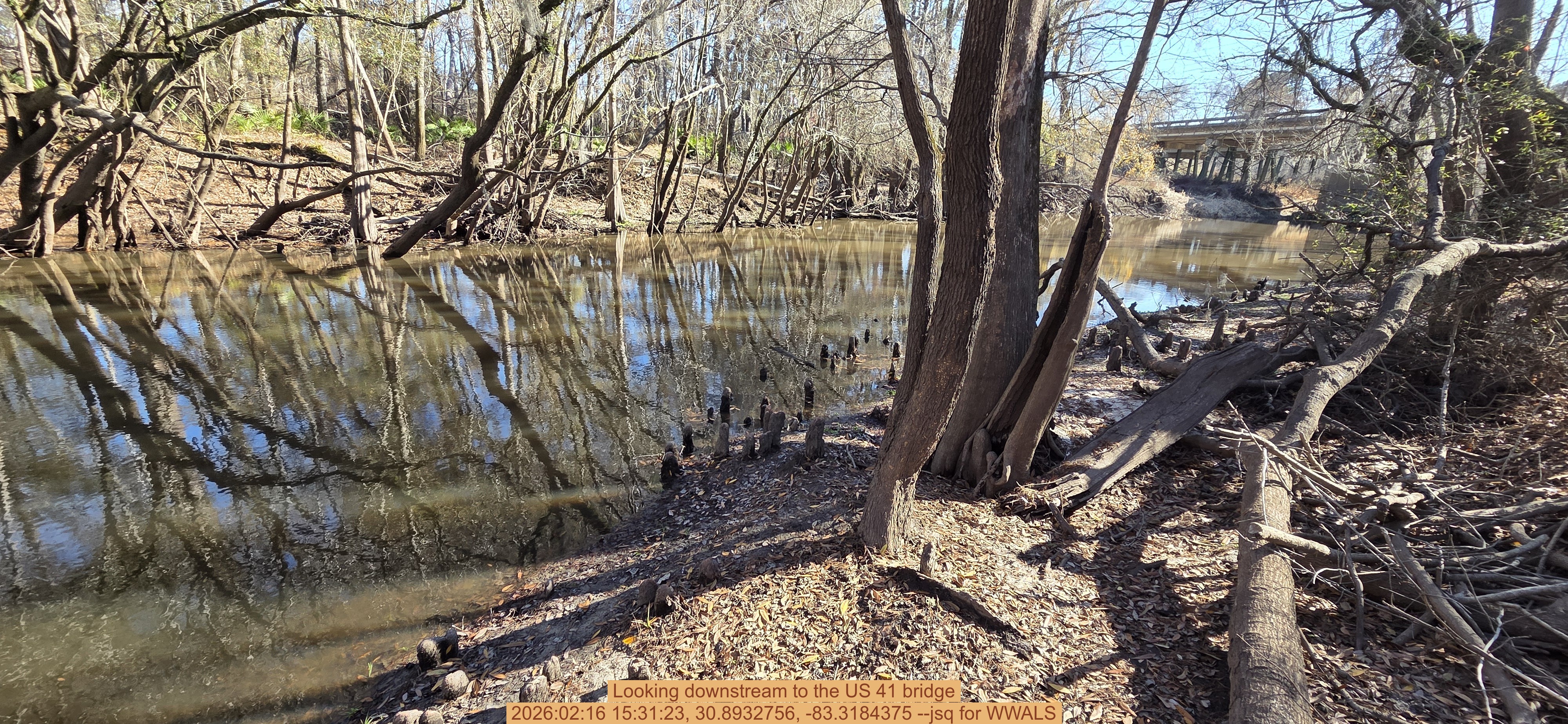 Looking downstream to the US 41 bridge, 2026:02:16 15:31:23, 30.8932756, -83.3184375 --jsq for WWALS